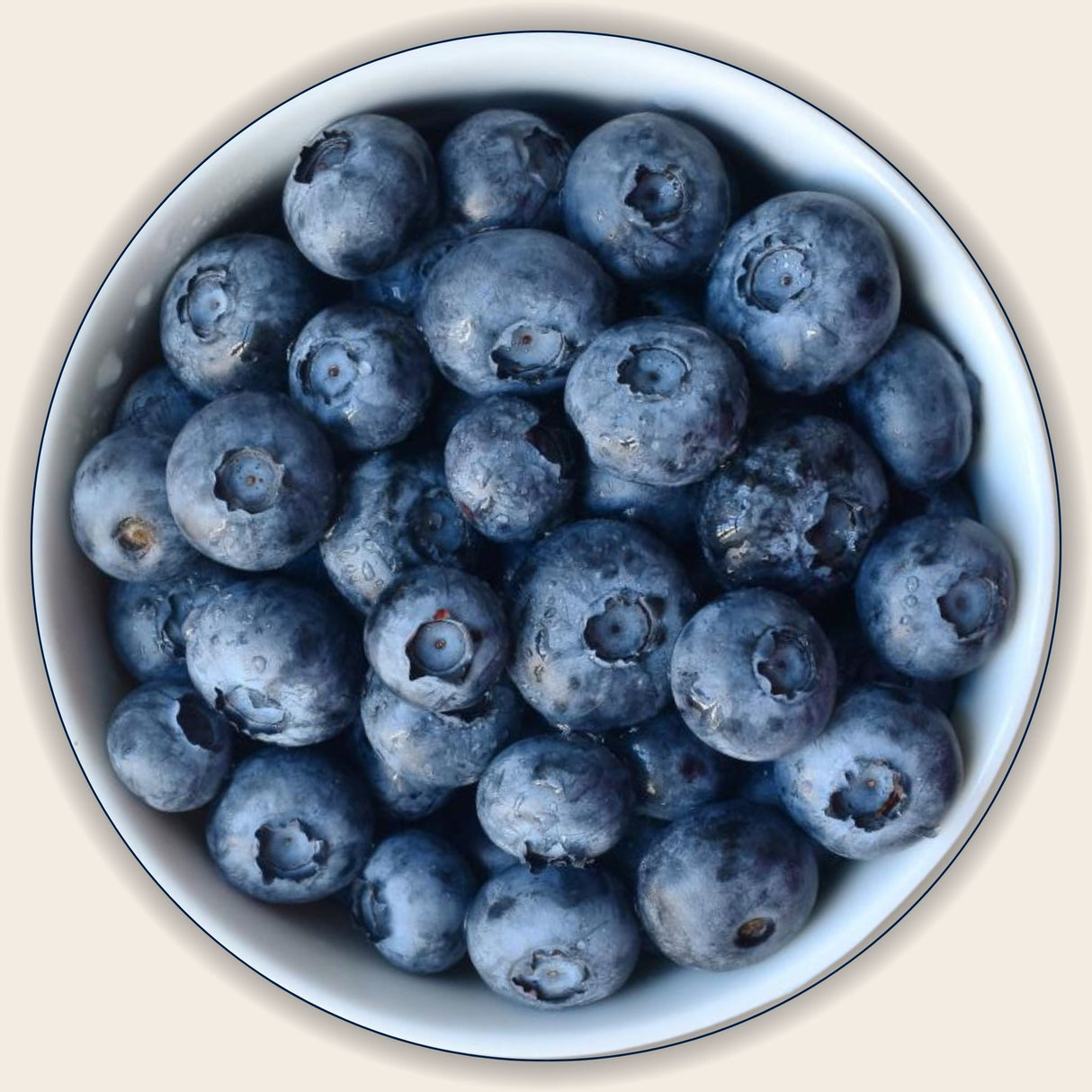 Blue_Berries_Frozen_1kg